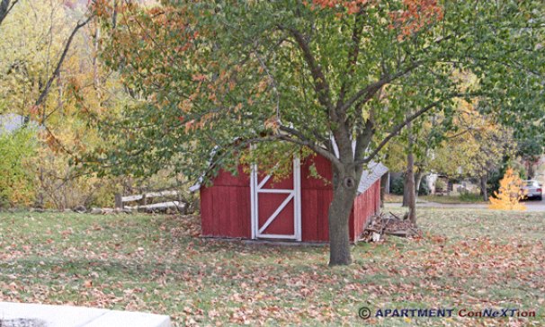 Yard with Storage Shed