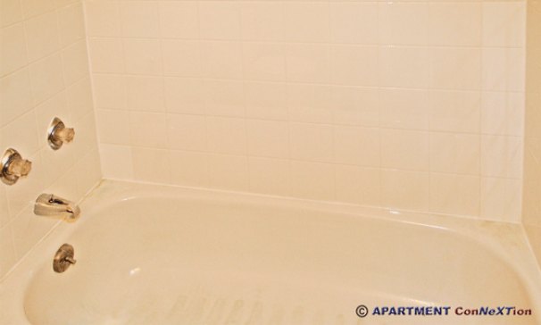 Bathroom Full Tub / Shower