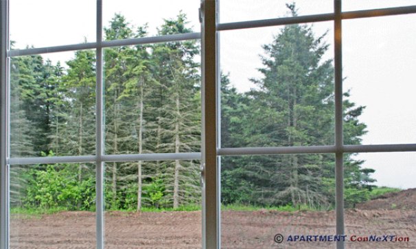 View Through Patio Doors