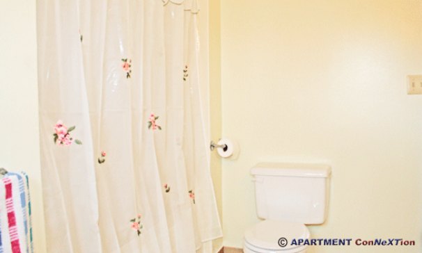 Bathroom Tub / Shower