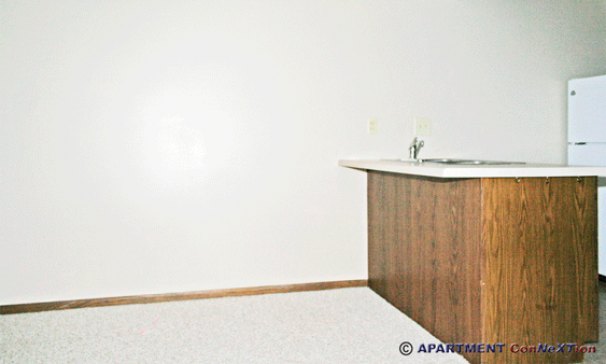 Dining Area / Kitchen Snack Bar