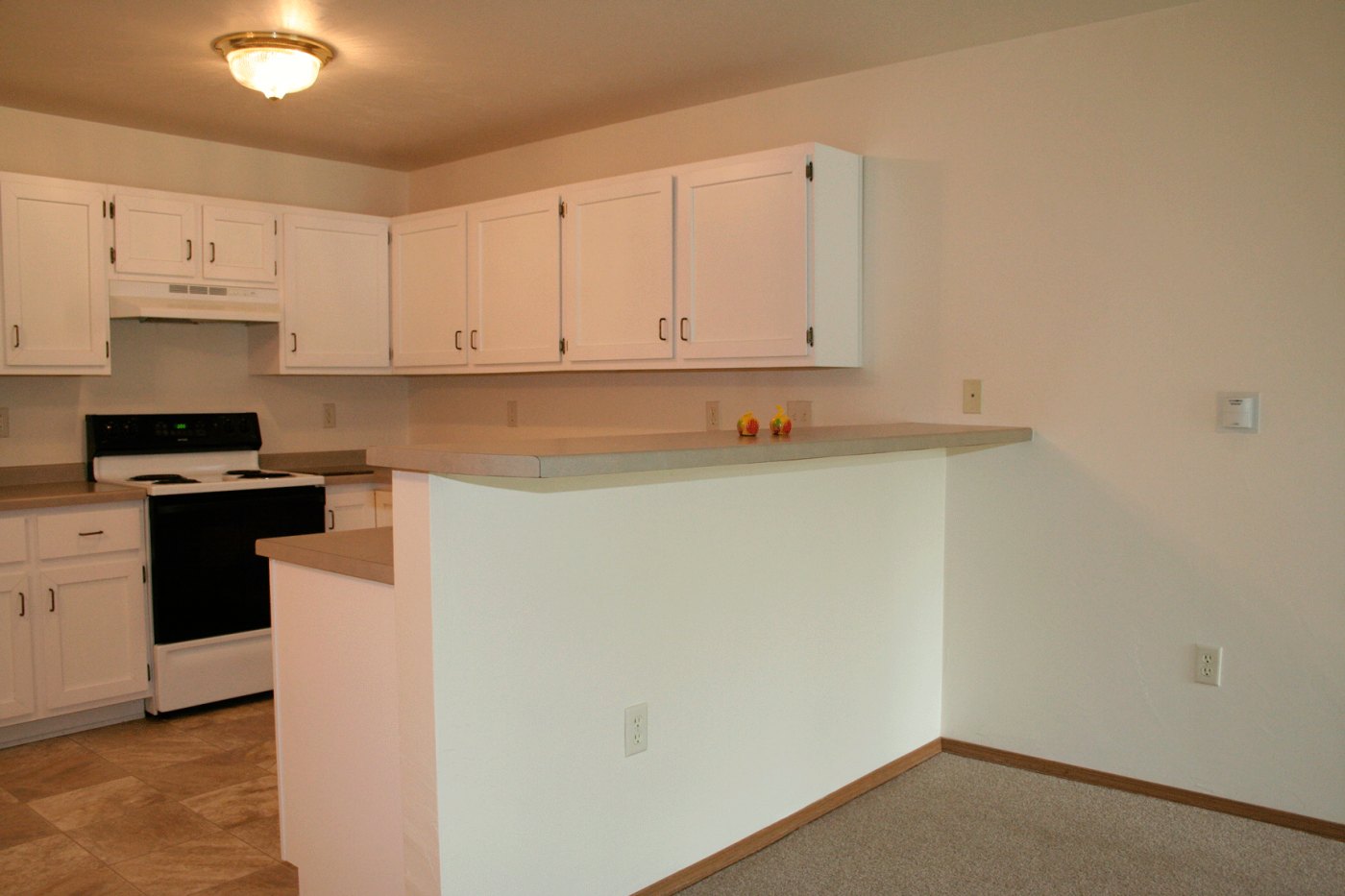 Listing WSP368 10th Avenue North, Wausau APARTMENT ConNeXTion