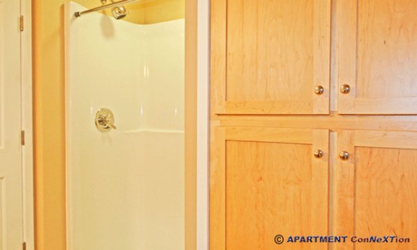 Bathroom 2 Shower & Storage