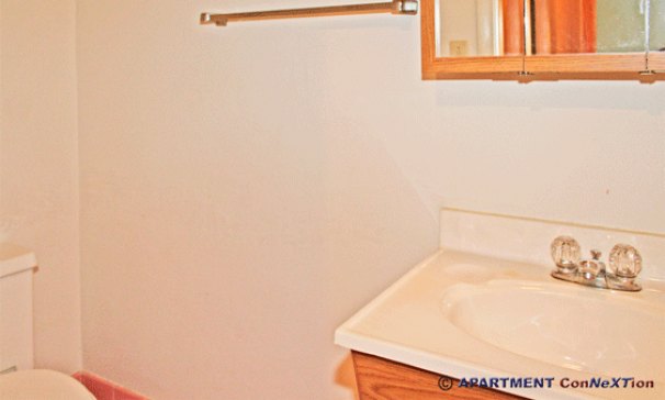 Main Floor Half-Bath