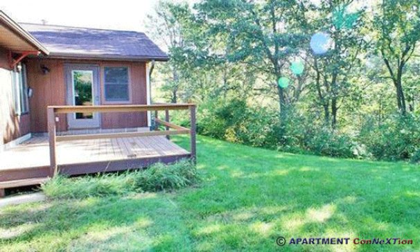 Deck & Back Yard