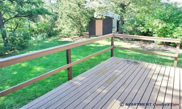 Deck & Back Yard