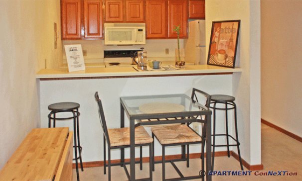 Dining Area / Kitchen