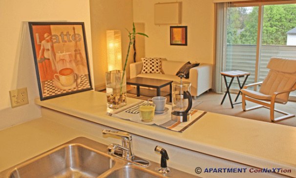 Living Room from Kitchen