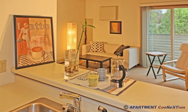 Living Room from Kitchen