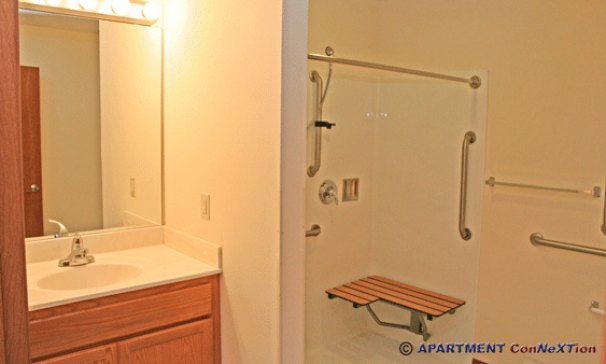 Accessible Bathroom with Roll-In Shower