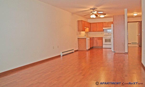 Living Room & Kitchen - Entry View