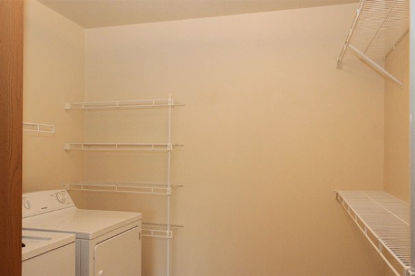 Master Walk-In Closet with Laundry