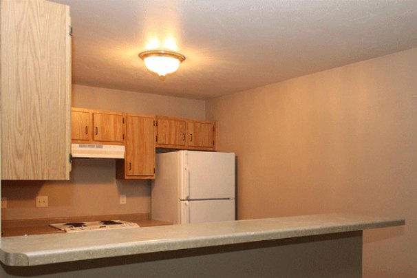 Snack Bar Kitchen from Living Room