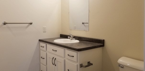 Master Bathroom (with shower)