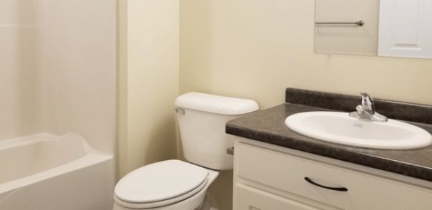 Main Bathroom (with full tub/shower)
