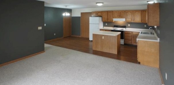 Living Room / Kitchen / Dining