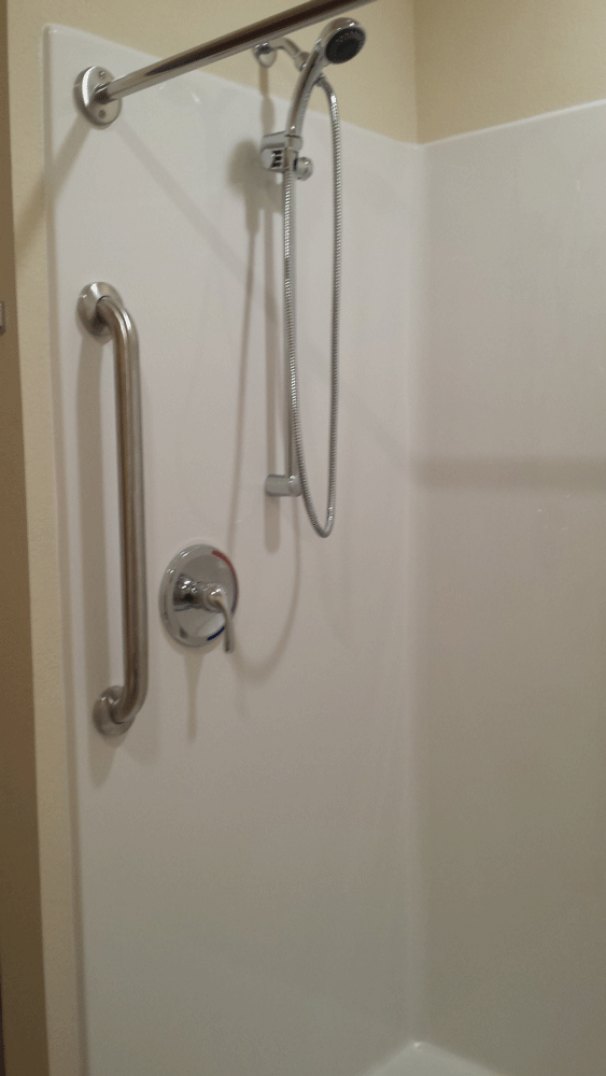 Bathroom Shower Grab Bars