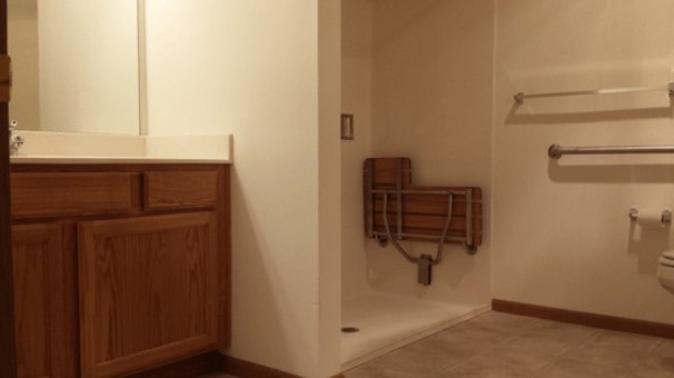Bathroom (Roll-In Shower Option)