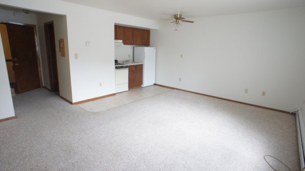 Living and Sleeping Area