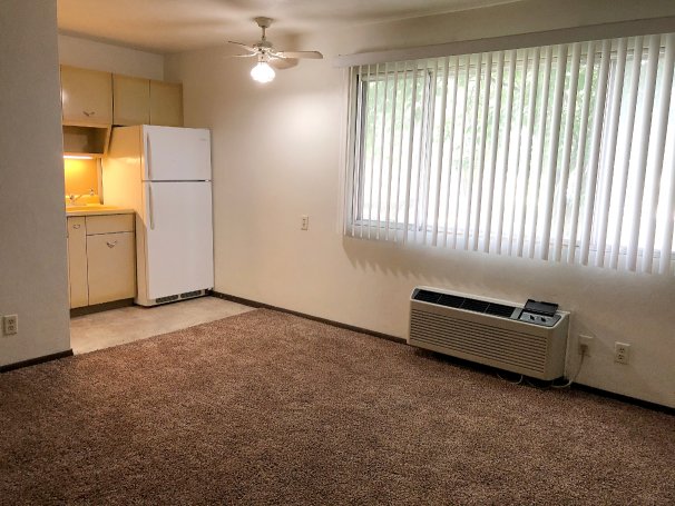 Studio Living / Sleeping Space 1