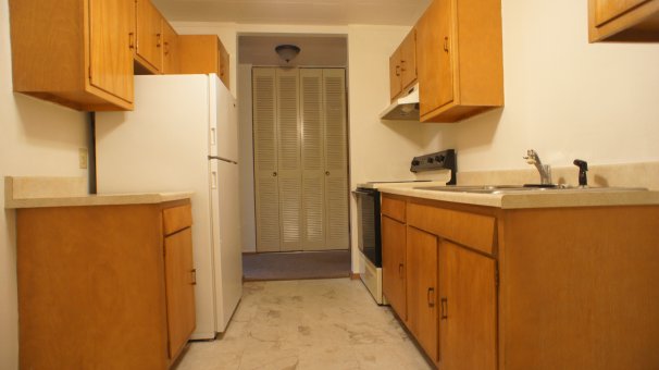 Apt 208 Kitchen