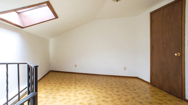 Loft with Skylight