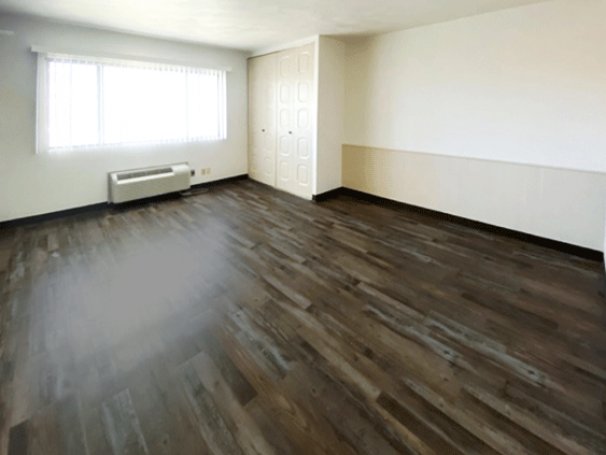 Combined Living Room & Bedroom