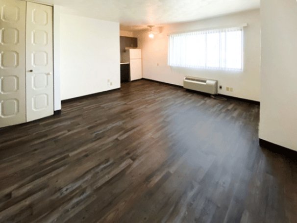 Combined Living Room & Bedroom